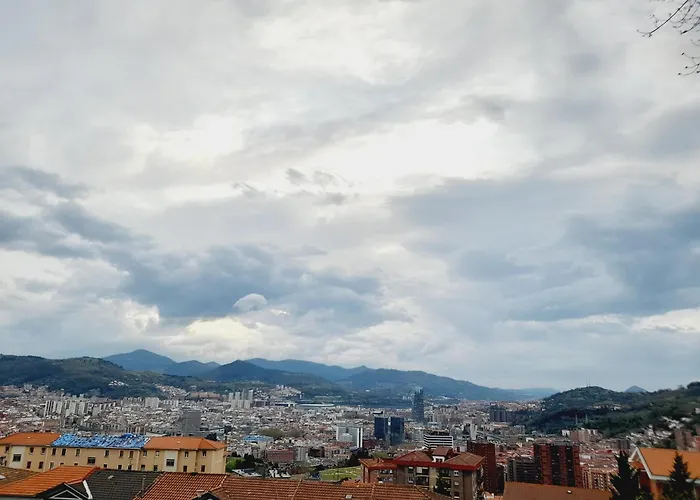 Cálida Descubre La Ciudad *