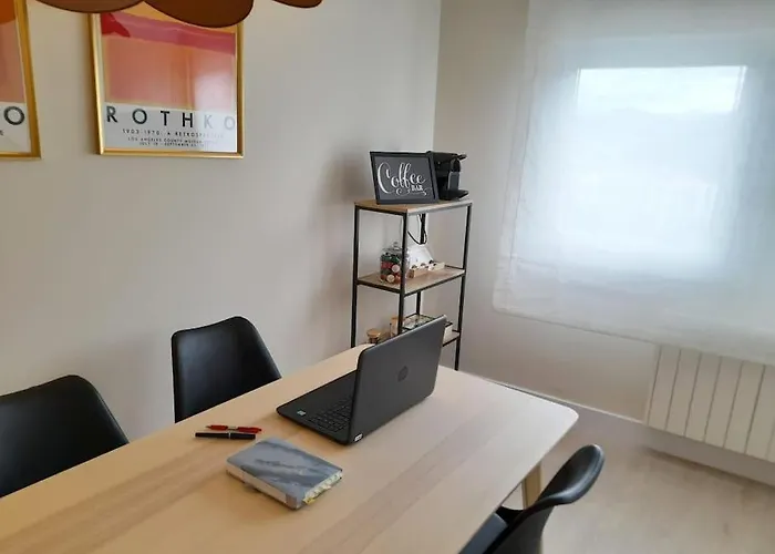 Calida Descubre La Ciudad